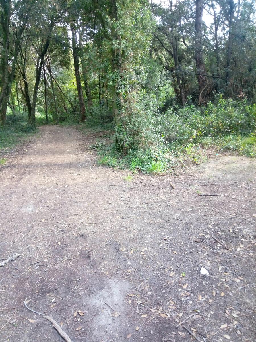 Marina di Pisa - foto 2