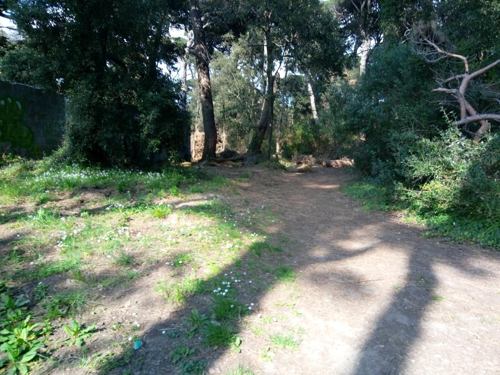 Marina di Pisa - foto 3