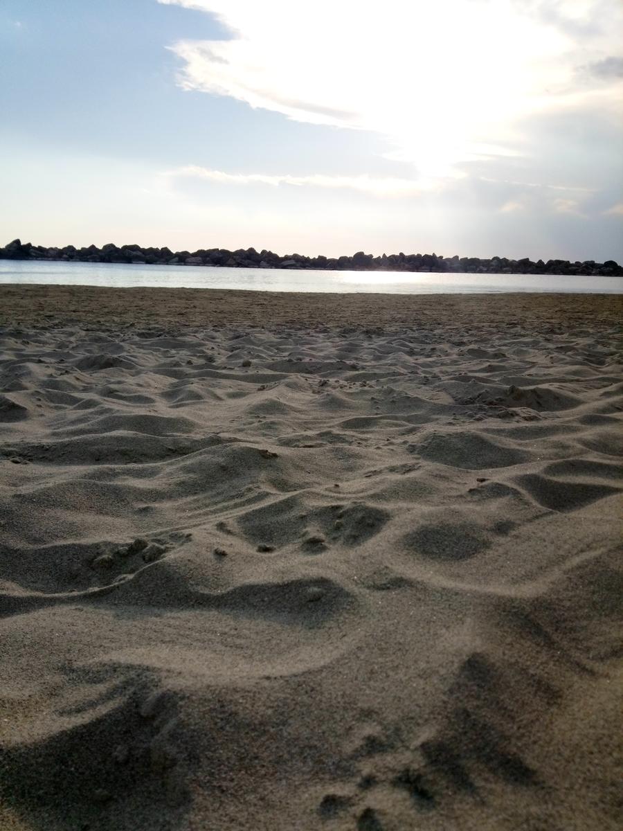 Marina di Pisa - foto 5