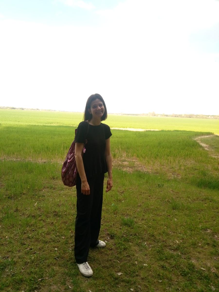 Marina di Pisa - foto 6