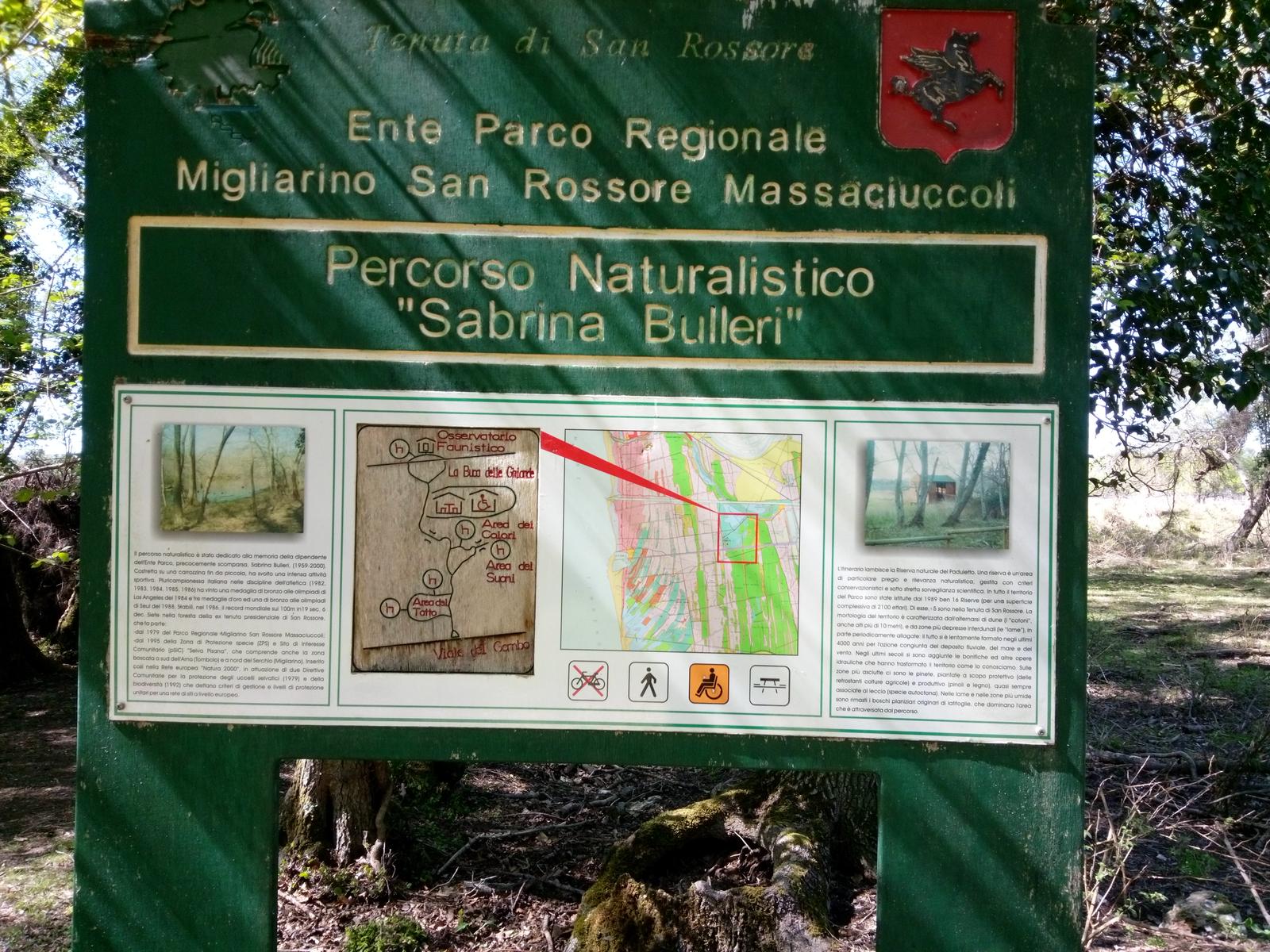 Parco Naturalistico di San Rossore. - foto 6