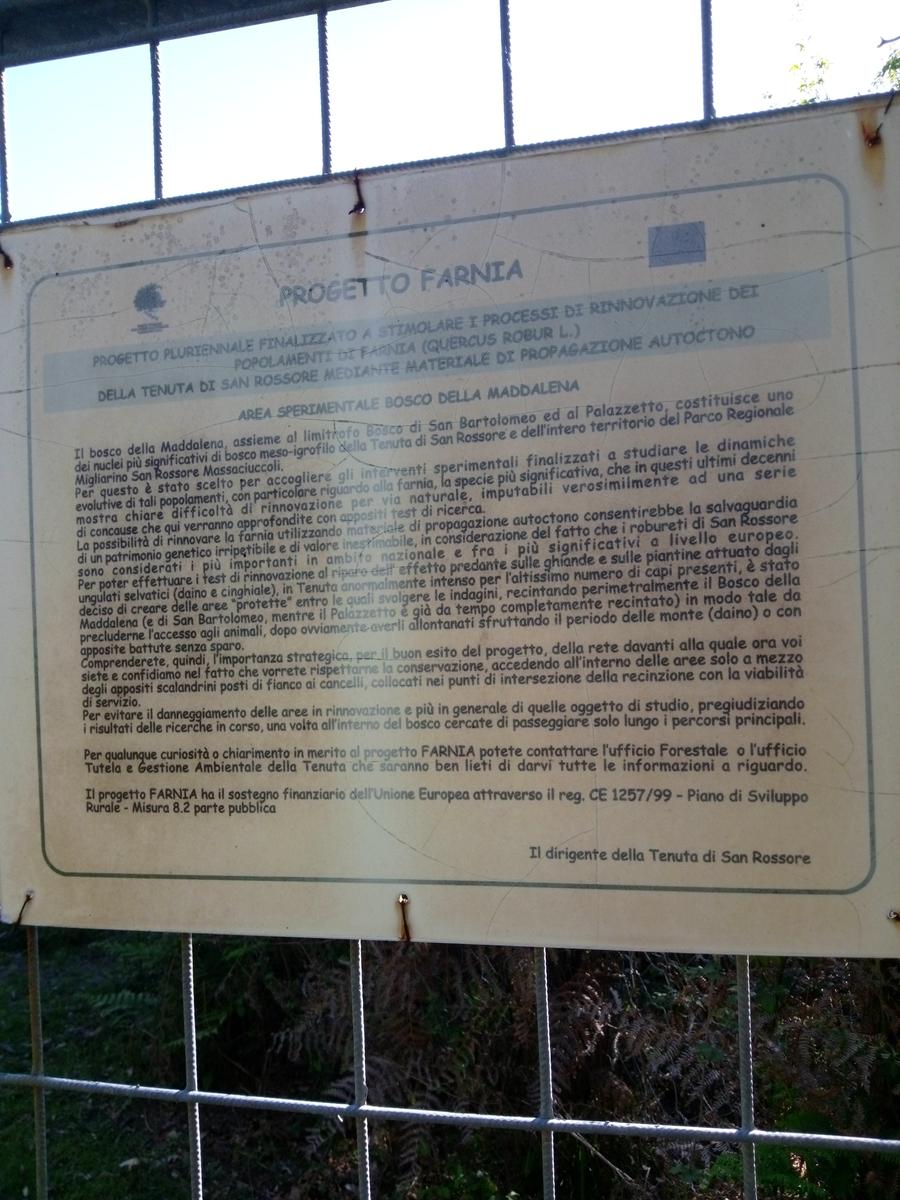 Parco Naturalistico di San Rossore. - foto 8