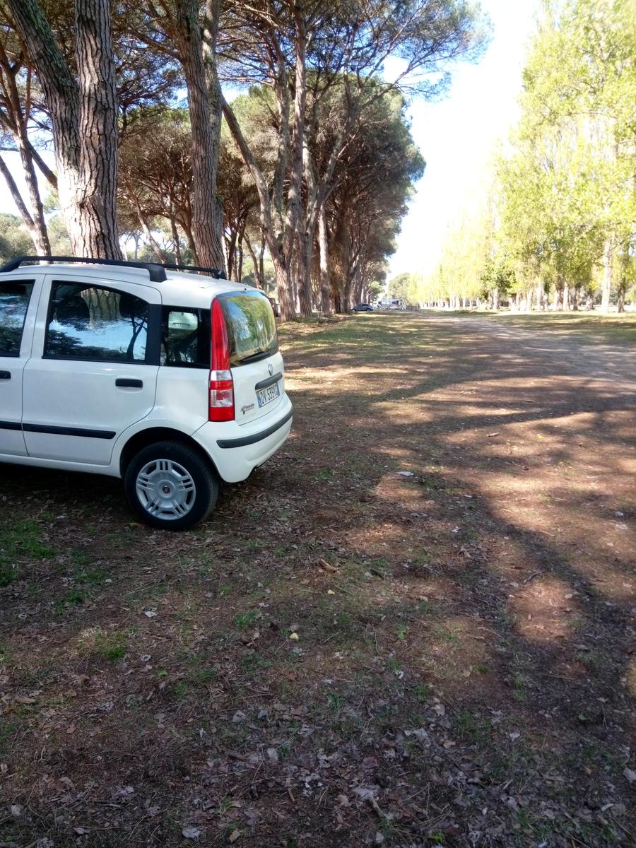 Parco Naturalistico di San Rossore. - foto 10