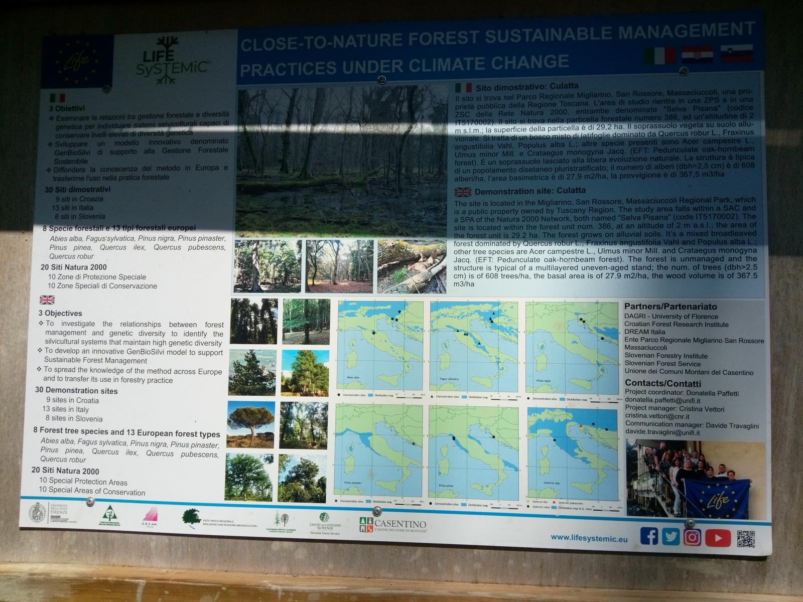 Parco Naturalistico di San Rossore. - foto 11