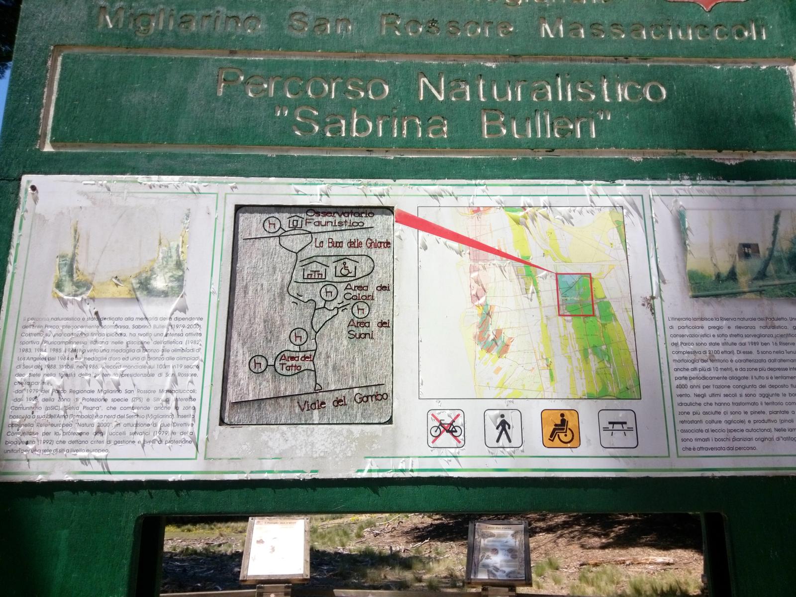 Parco Naturalistico di San Rossore. - foto 13