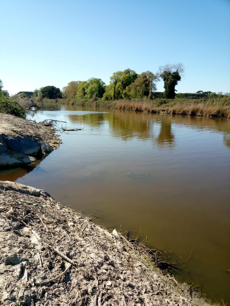 Parco Naturalistico di San Rossore. - foto 14