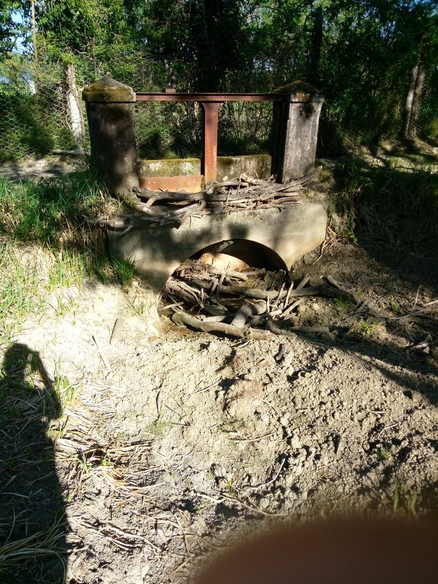 Parco Naturalistico di San Rossore. - foto 16