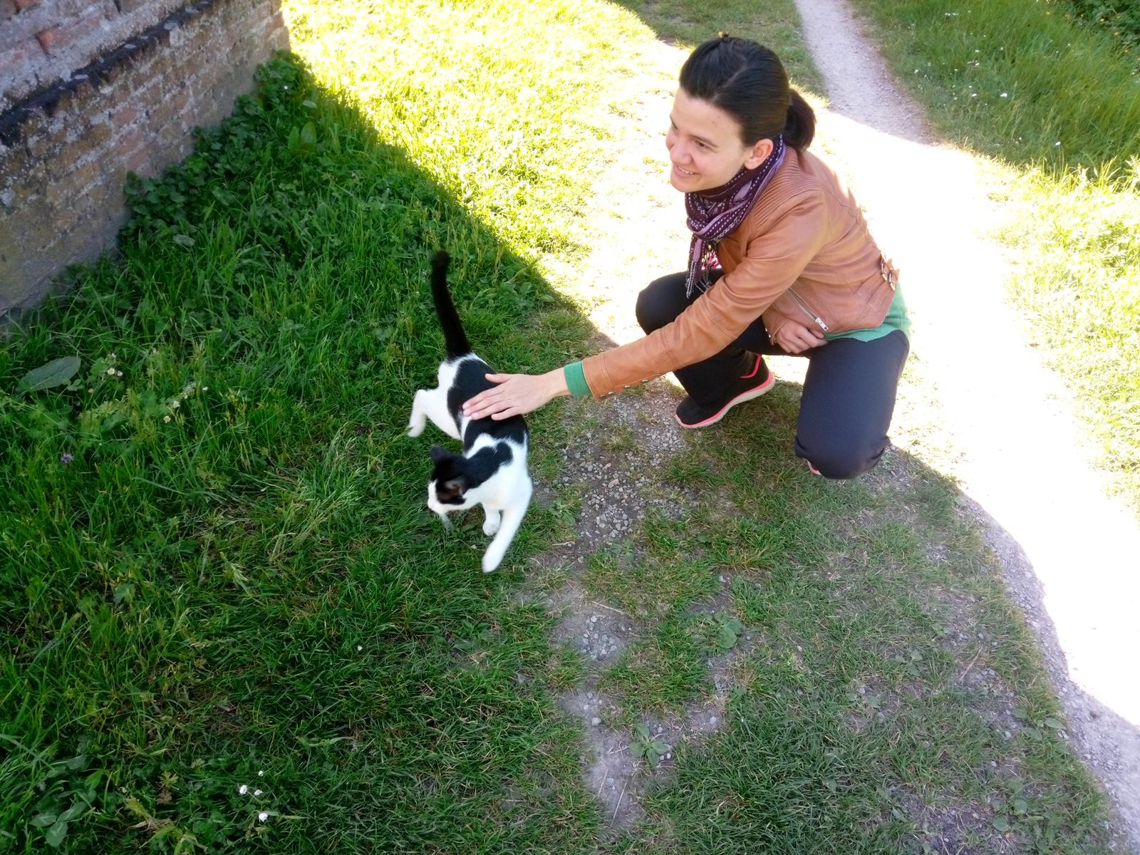 Lucca - Parole d'oro - Acquedotto Romano