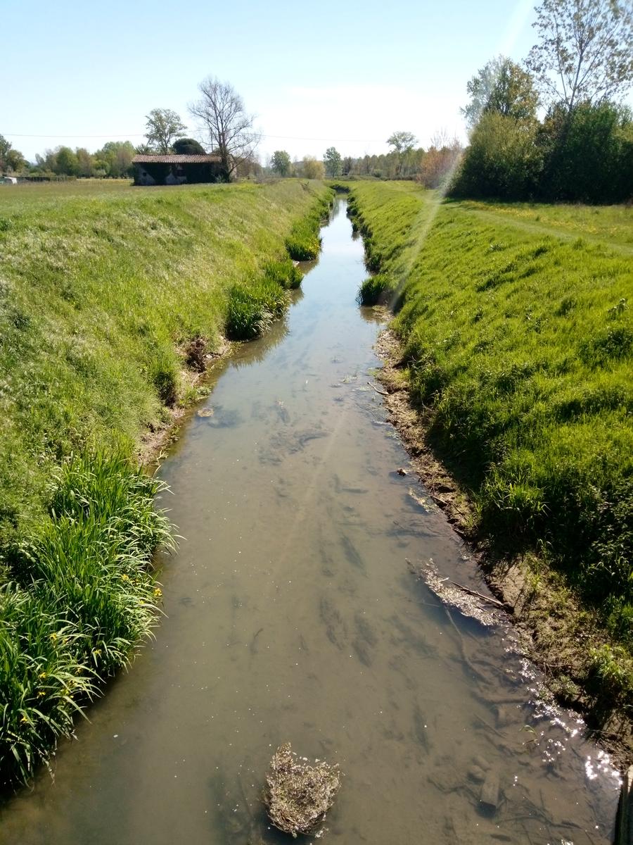 Lucca - Parole d'oro - Acquedotto Romano - foto 2