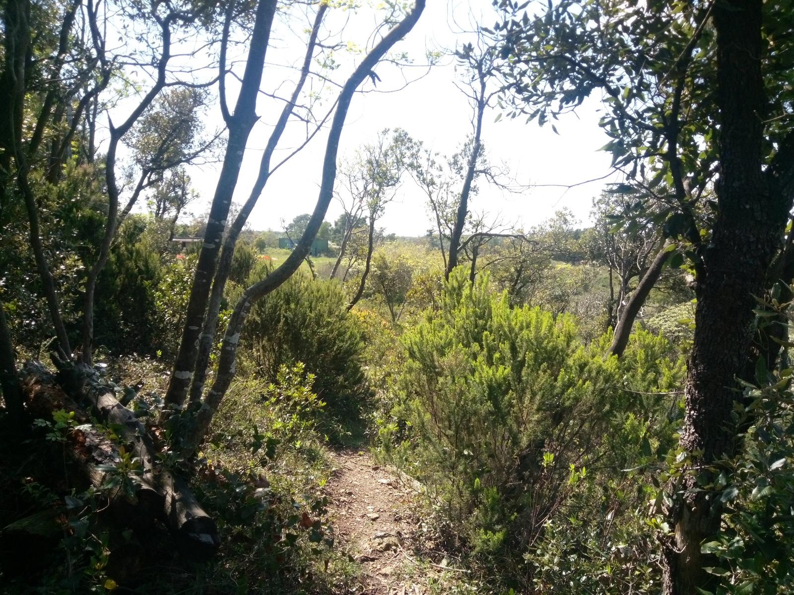 Pian di Rota, il crocione, Poggio Corbolone, cascate dell'Infernaccio - foto 2