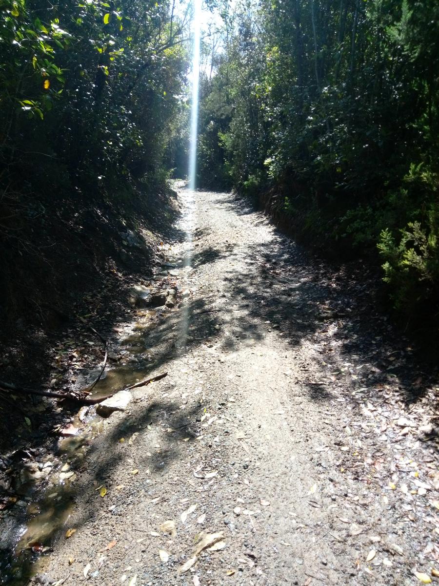 Pian di Rota, il crocione, Poggio Corbolone, cascate dell'Infernaccio - foto 3
