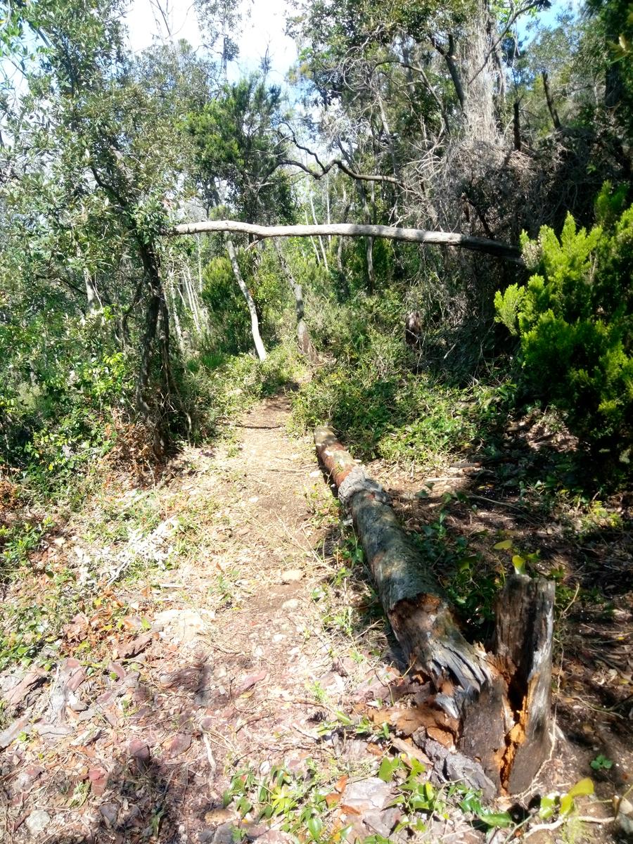 Pian di Rota, il crocione, Poggio Corbolone, cascate dell'Infernaccio - foto 5