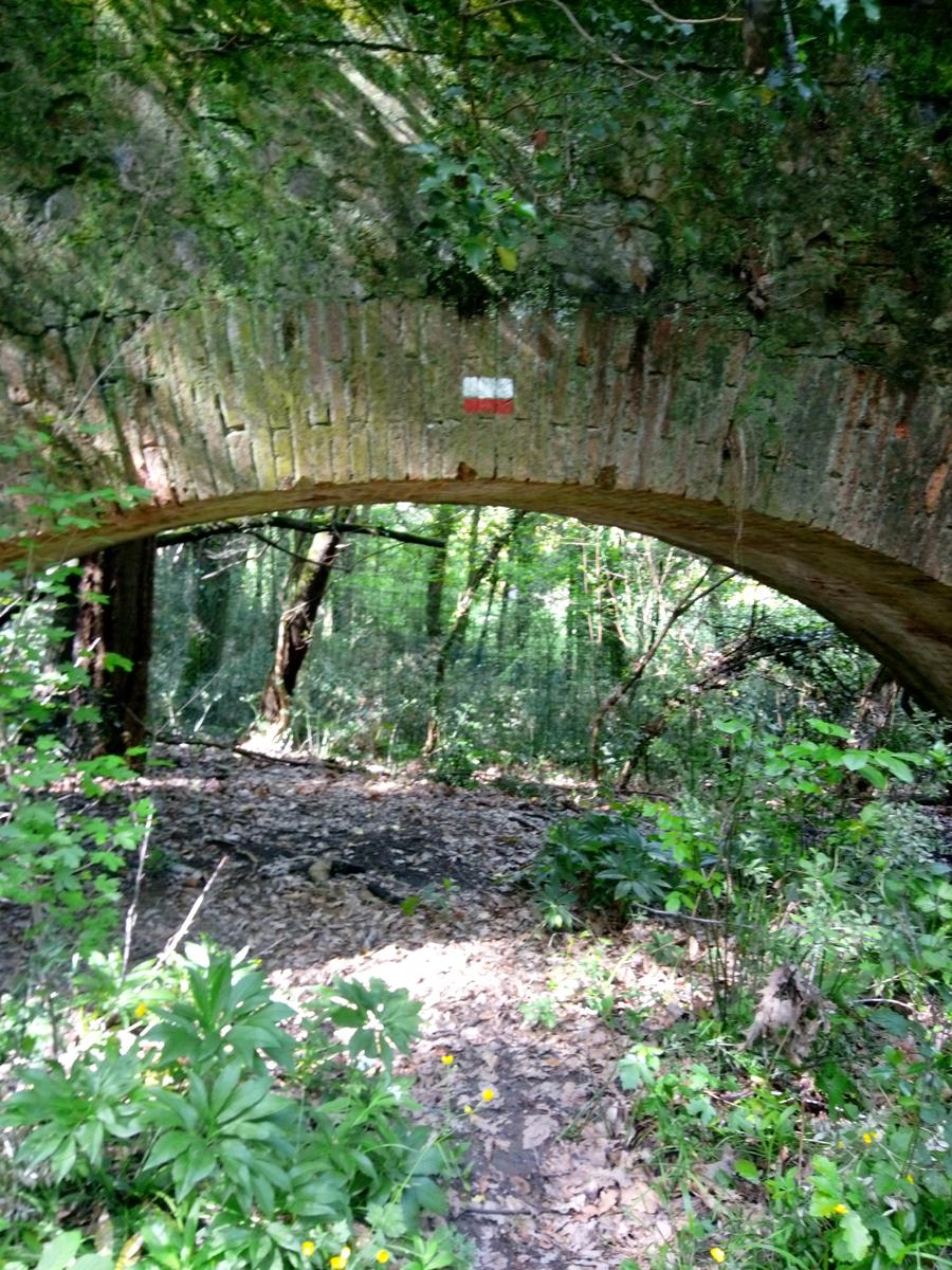 Pian di Rota, il crocione, Poggio Corbolone, cascate dell'Infernaccio - foto 6