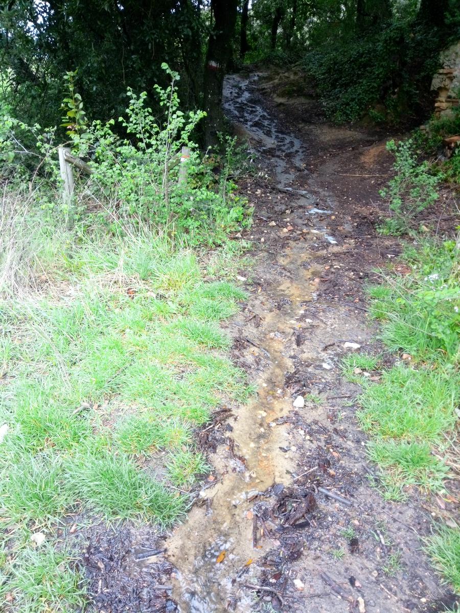 Pian di Rota, il crocione, Poggio Corbolone, cascate dell'Infernaccio - foto 8