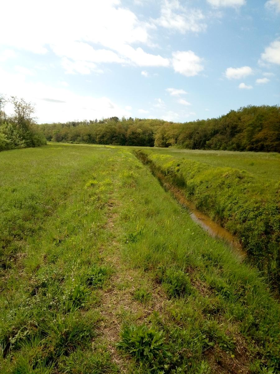 Pian di Rota, il crocione, Poggio Corbolone, cascate dell'Infernaccio - foto 9