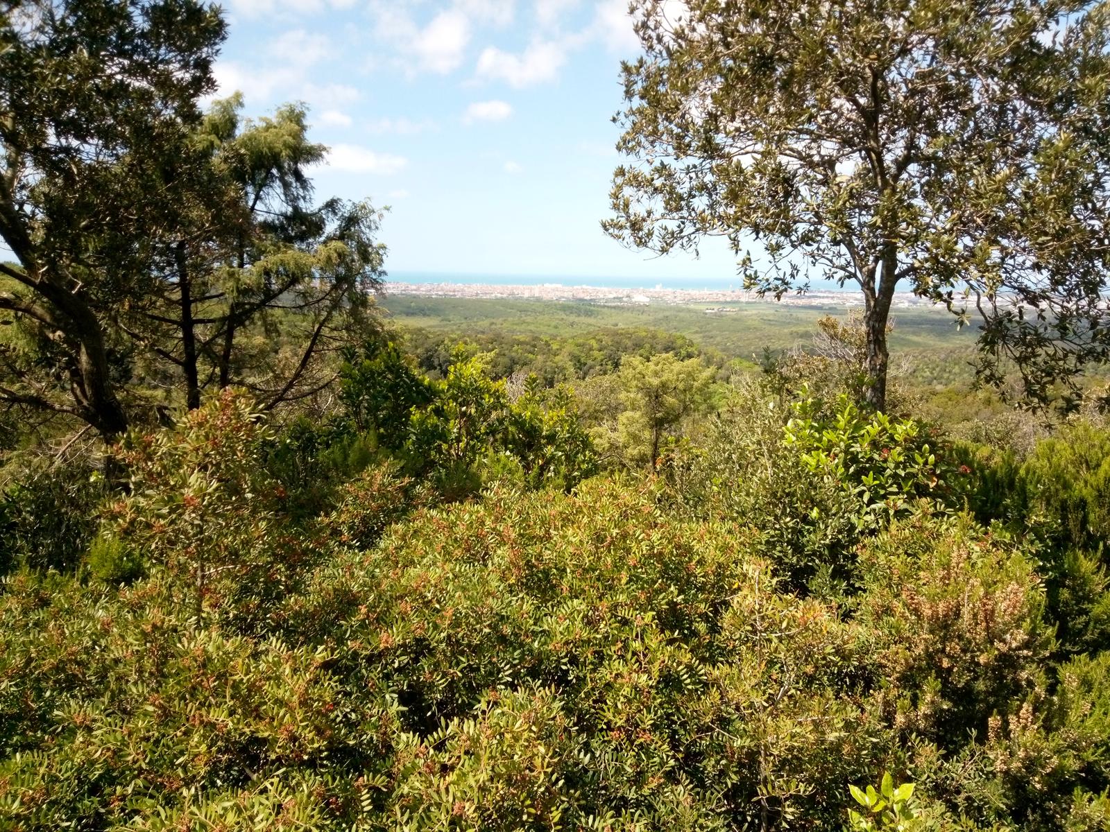 Pian di Rota, il crocione, Poggio Corbolone, cascate dell'Infernaccio - foto 10