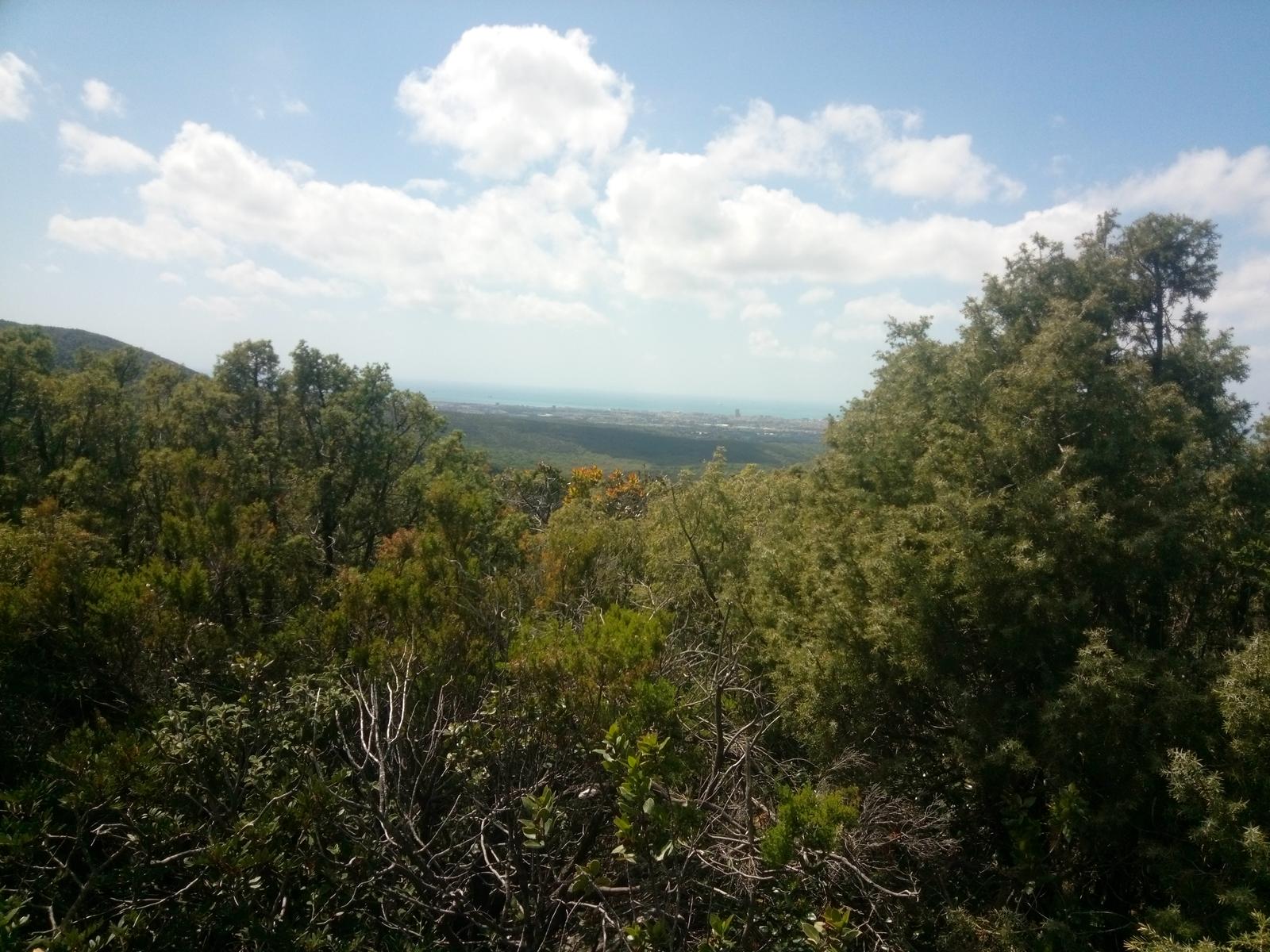 Pian di Rota, il crocione, Poggio Corbolone, cascate dell'Infernaccio - foto 12