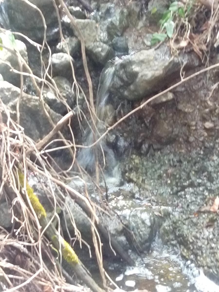 Pian di Rota, il crocione, Poggio Corbolone, cascate dell'Infernaccio - foto 13