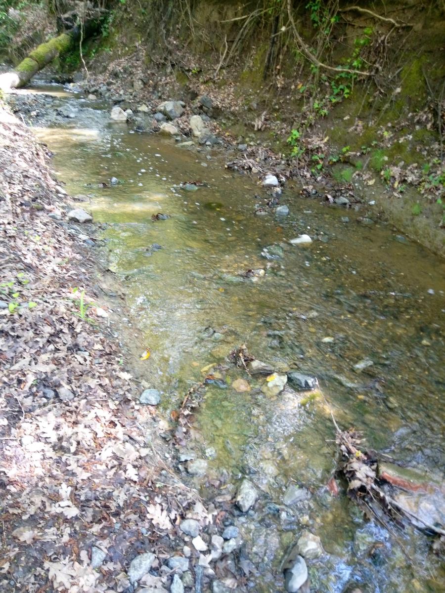 Pian di Rota, il crocione, Poggio Corbolone, cascate dell'Infernaccio - foto 14
