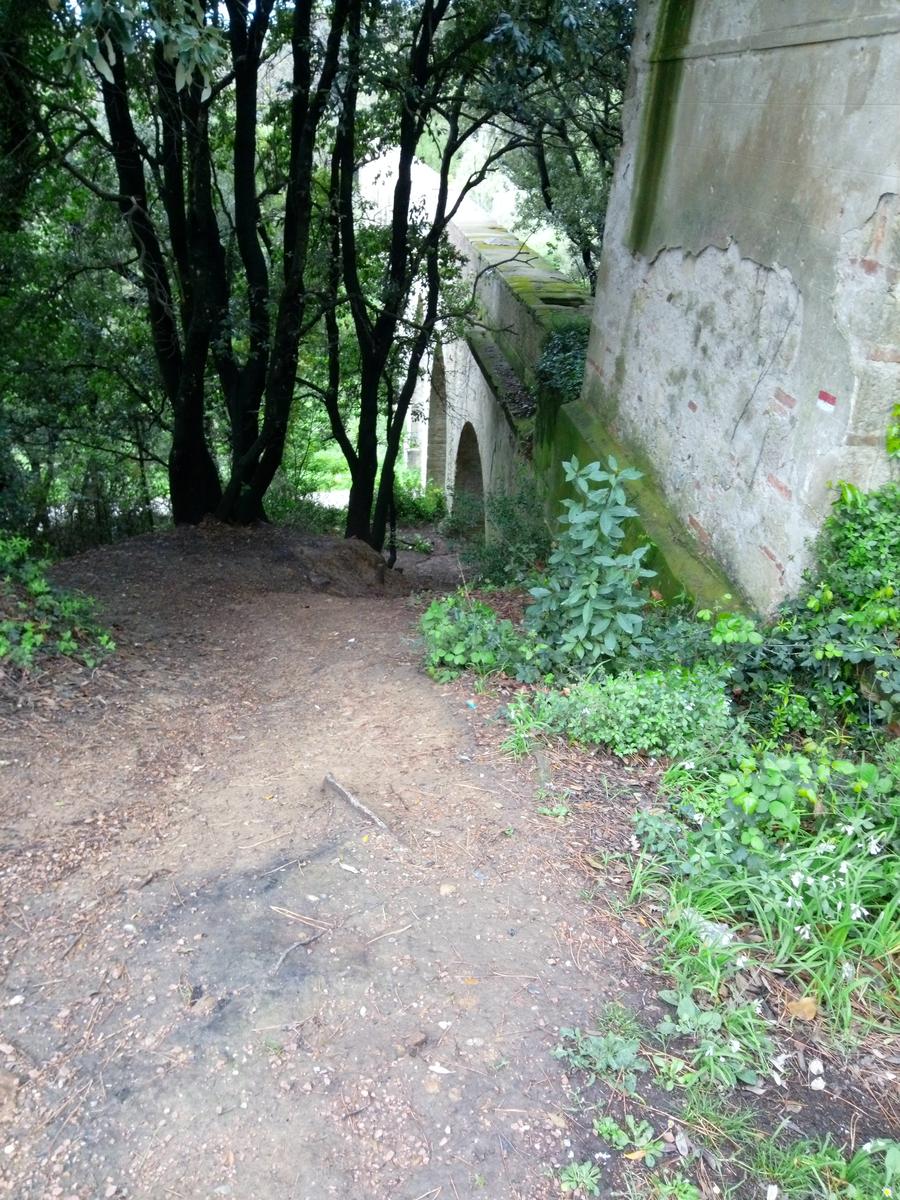 Pian di Rota, il crocione, Poggio Corbolone, cascate dell'Infernaccio - foto 15