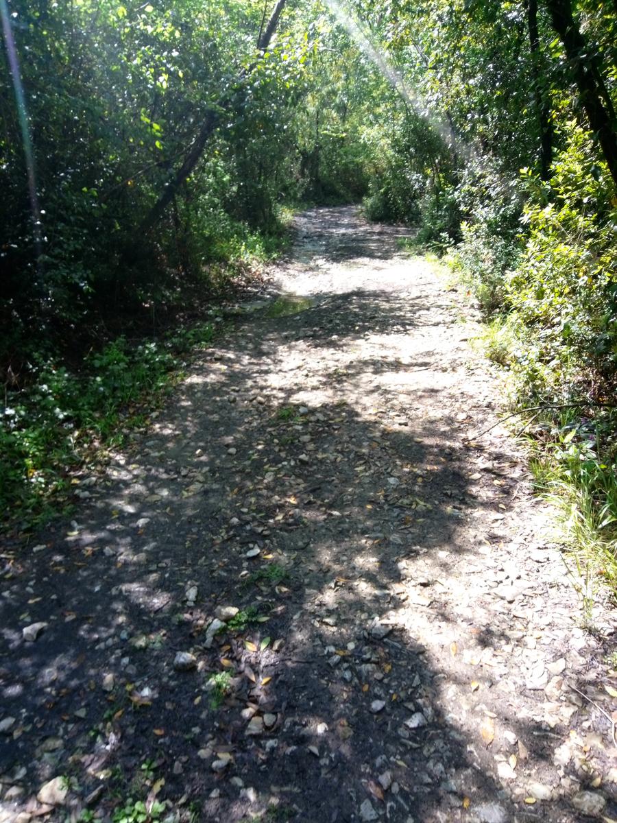 Pian di Rota, il crocione, Poggio Corbolone, cascate dell'Infernaccio - foto 16