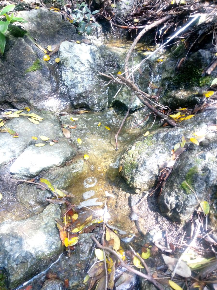 Pian di Rota, il crocione, Poggio Corbolone, cascate dell'Infernaccio - foto 18