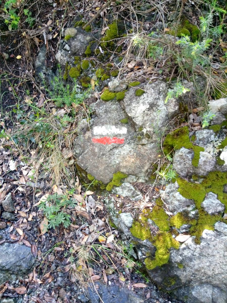 Pian di Rota, il crocione, Poggio Corbolone, cascate dell'Infernaccio - foto 19