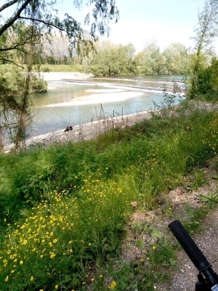 Giro in bici da Poracri a Lucca Lungo il Serchio - foto 5