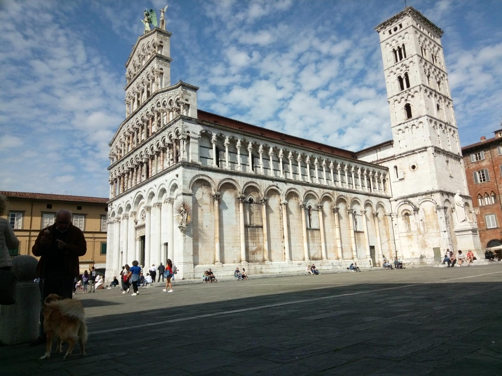 Giro in bici da Poracri a Lucca Lungo il Serchio - foto 6
