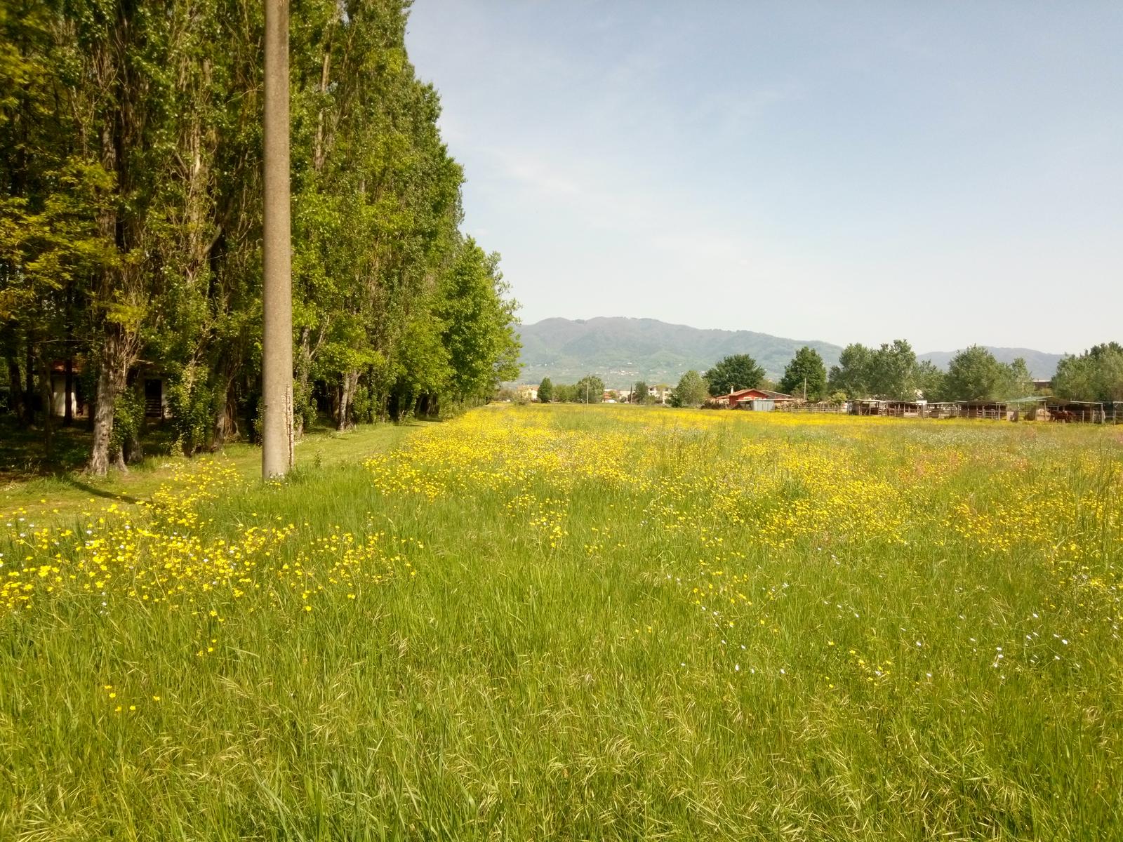 Giro in bici da Poracri a Lucca Lungo il Serchio - foto 9