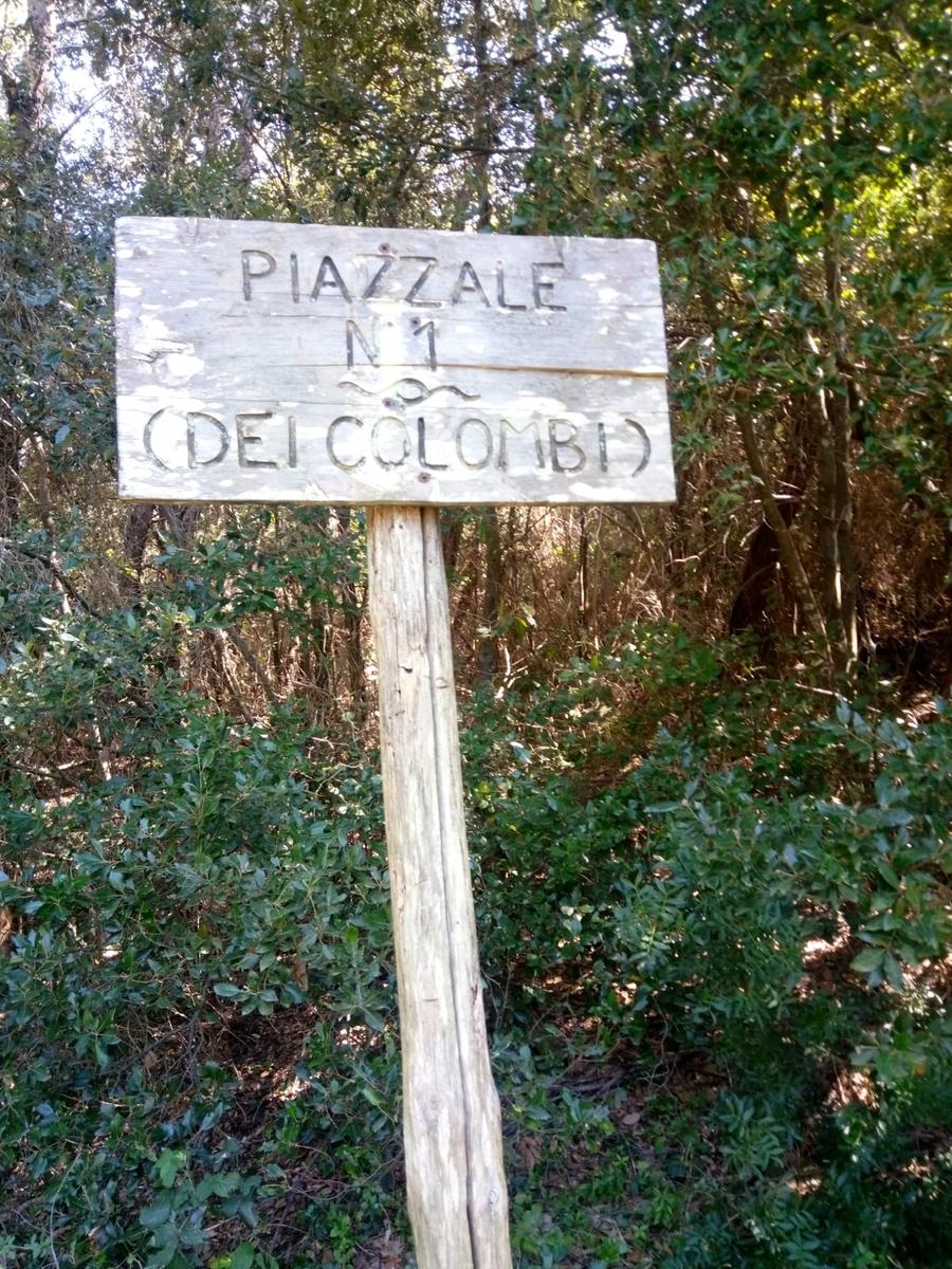 Calignaia - Spiaggia Sonnino - Poggio delle Monachine - Castellaccio - foto 7
