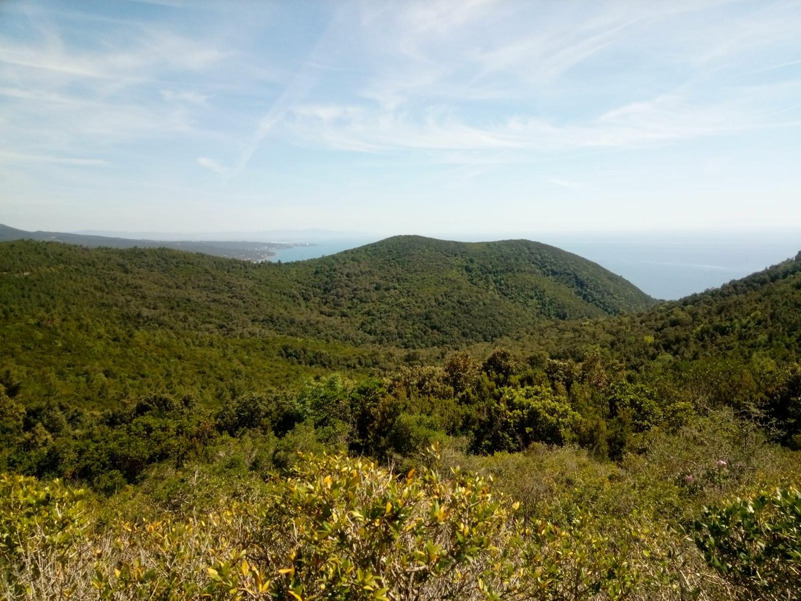 Calignaia - Spiaggia Sonnino - Poggio delle Monachine - Castellaccio - foto 11
