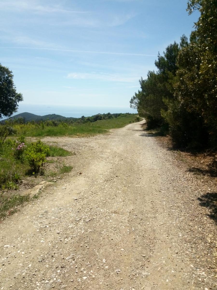 Calignaia - Spiaggia Sonnino - Poggio delle Monachine - Castellaccio - foto 12