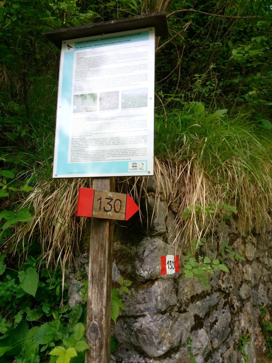 Fornovolasco - Monte Forato - Monte Croce - foto 3