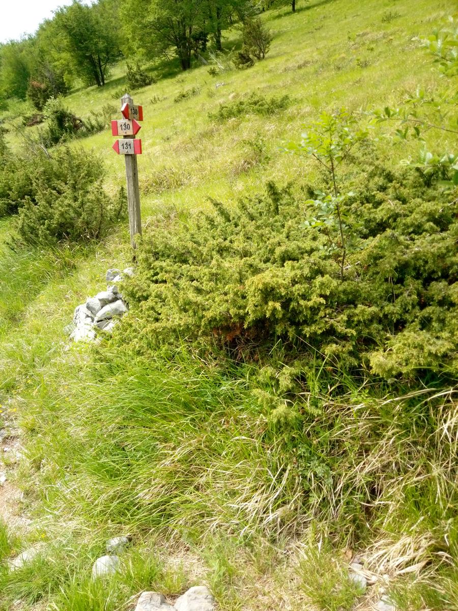 Fornovolasco - Monte Forato - Monte Croce - foto 9