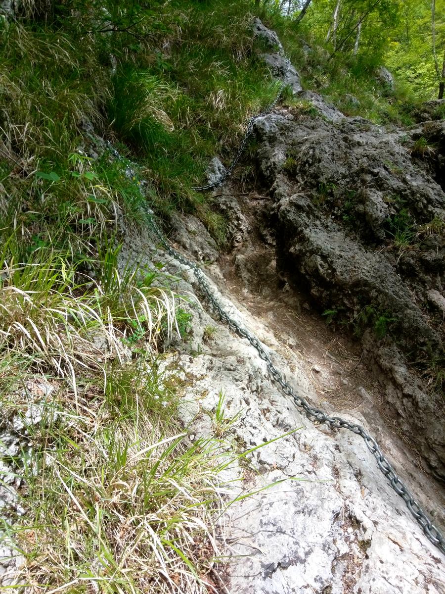 Fornovolasco - Monte Forato - Monte Croce - foto 13