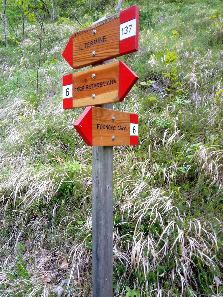 Fornovolasco - Monte Forato - Monte Croce - foto 14