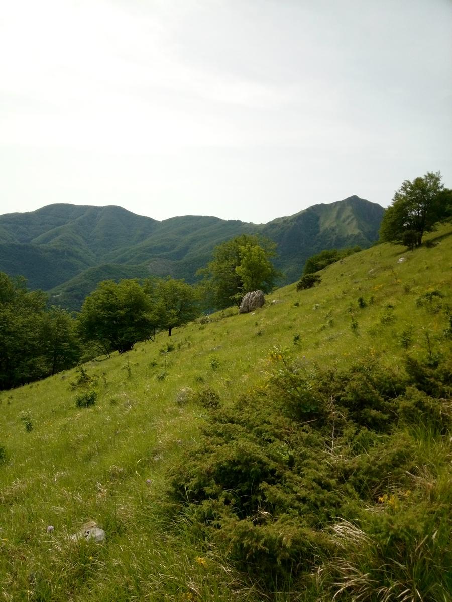 Fornovolasco - Monte Forato - Monte Croce - foto 16