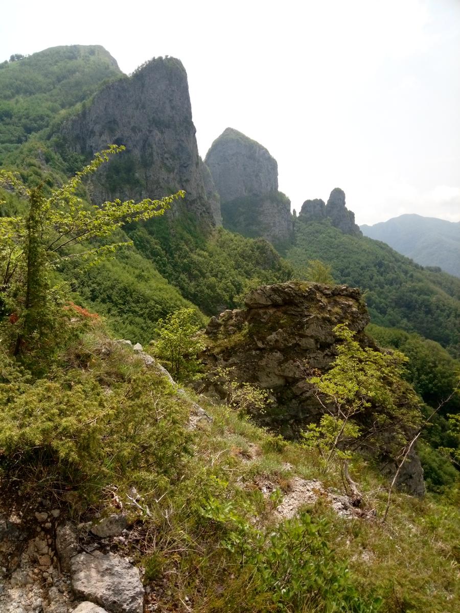 Fornovolasco - Monte Forato - Monte Croce - foto 20
