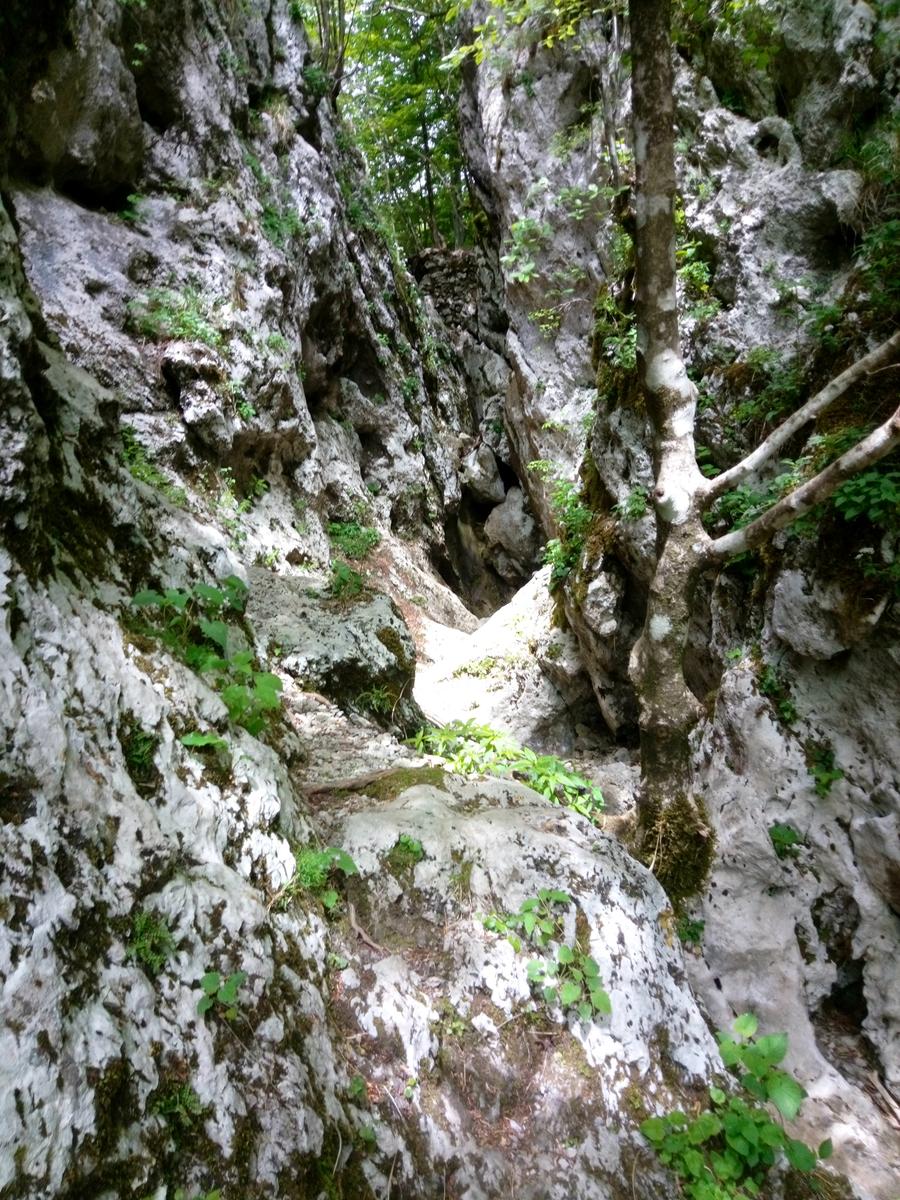 Fornovolasco - Monte Forato - Monte Croce - foto 21