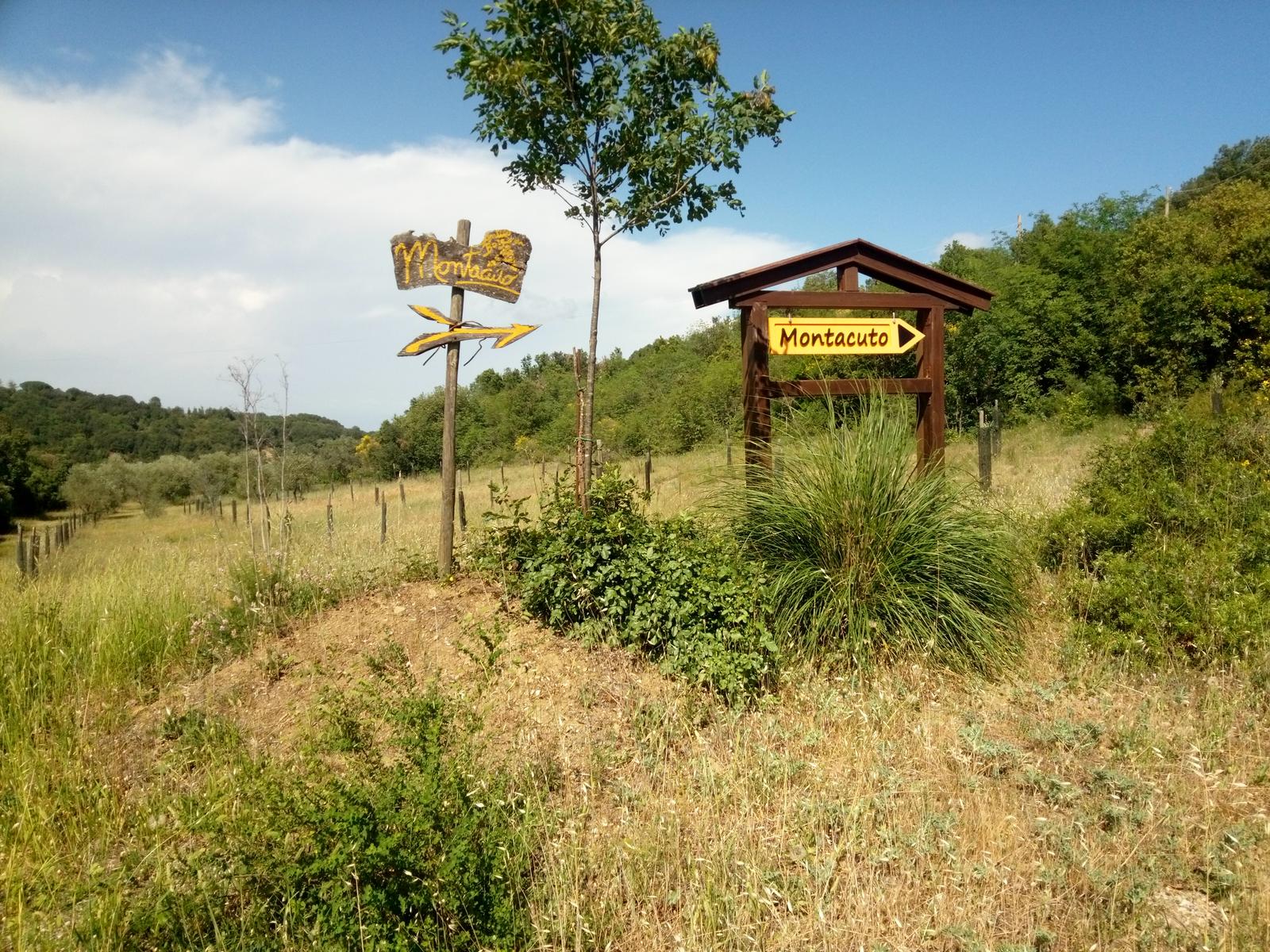 Casale di Pari - Monte Acuto - foto 2