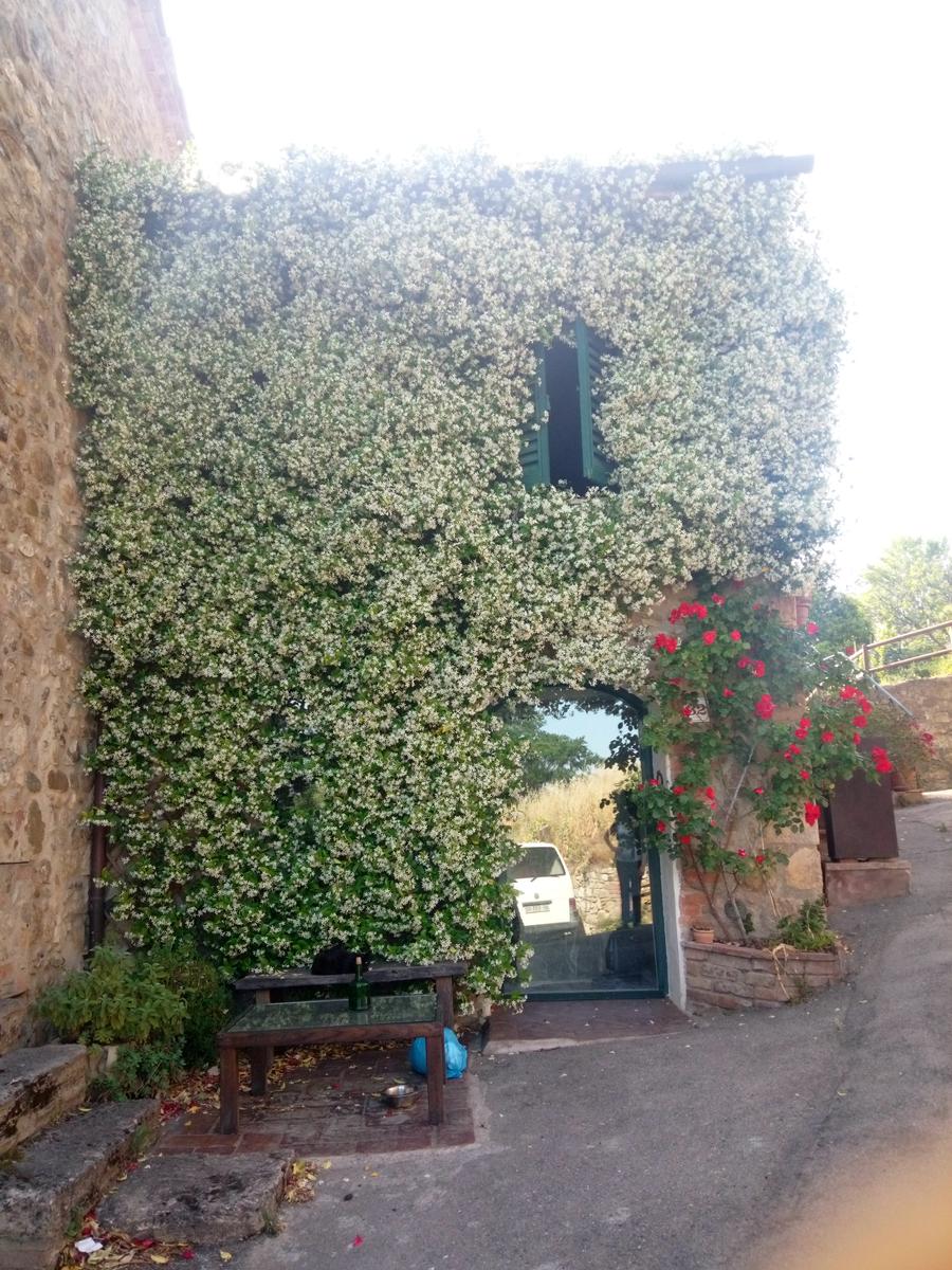 Casale di Pari - Monte Acuto - foto 4