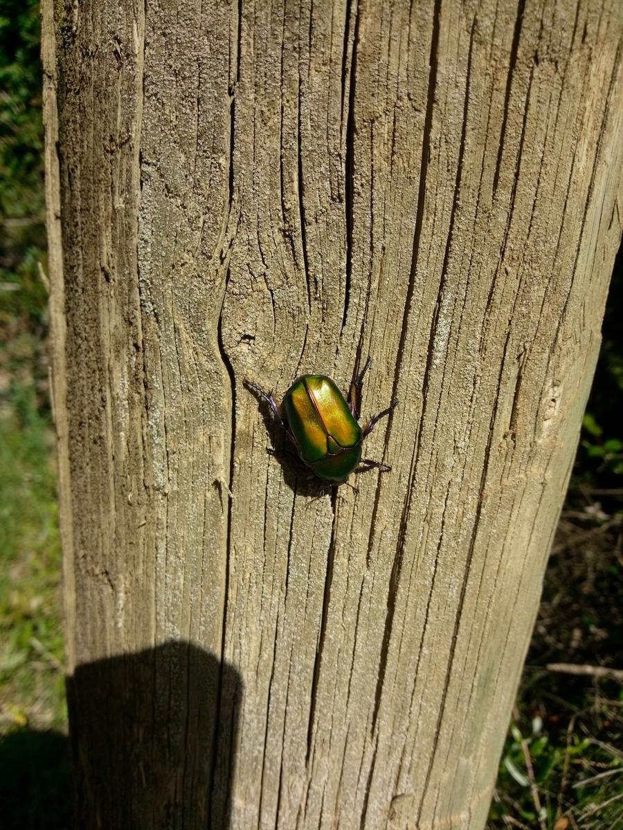 Casale di Pari - Monte Acuto - foto 9