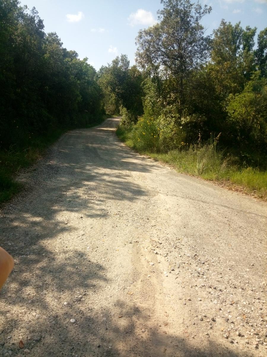 Casale di Pari - Monte Acuto - foto 12