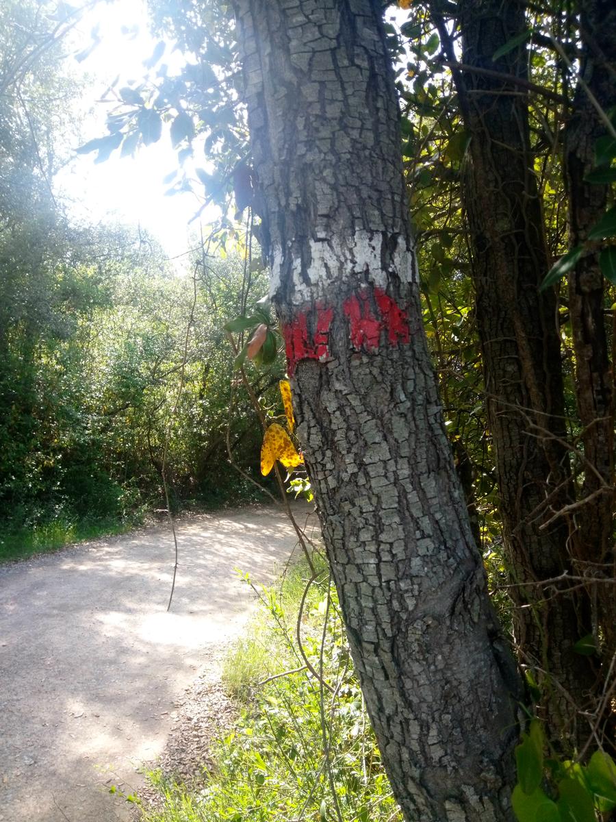 Casale di Pari - Monte Acuto - foto 13