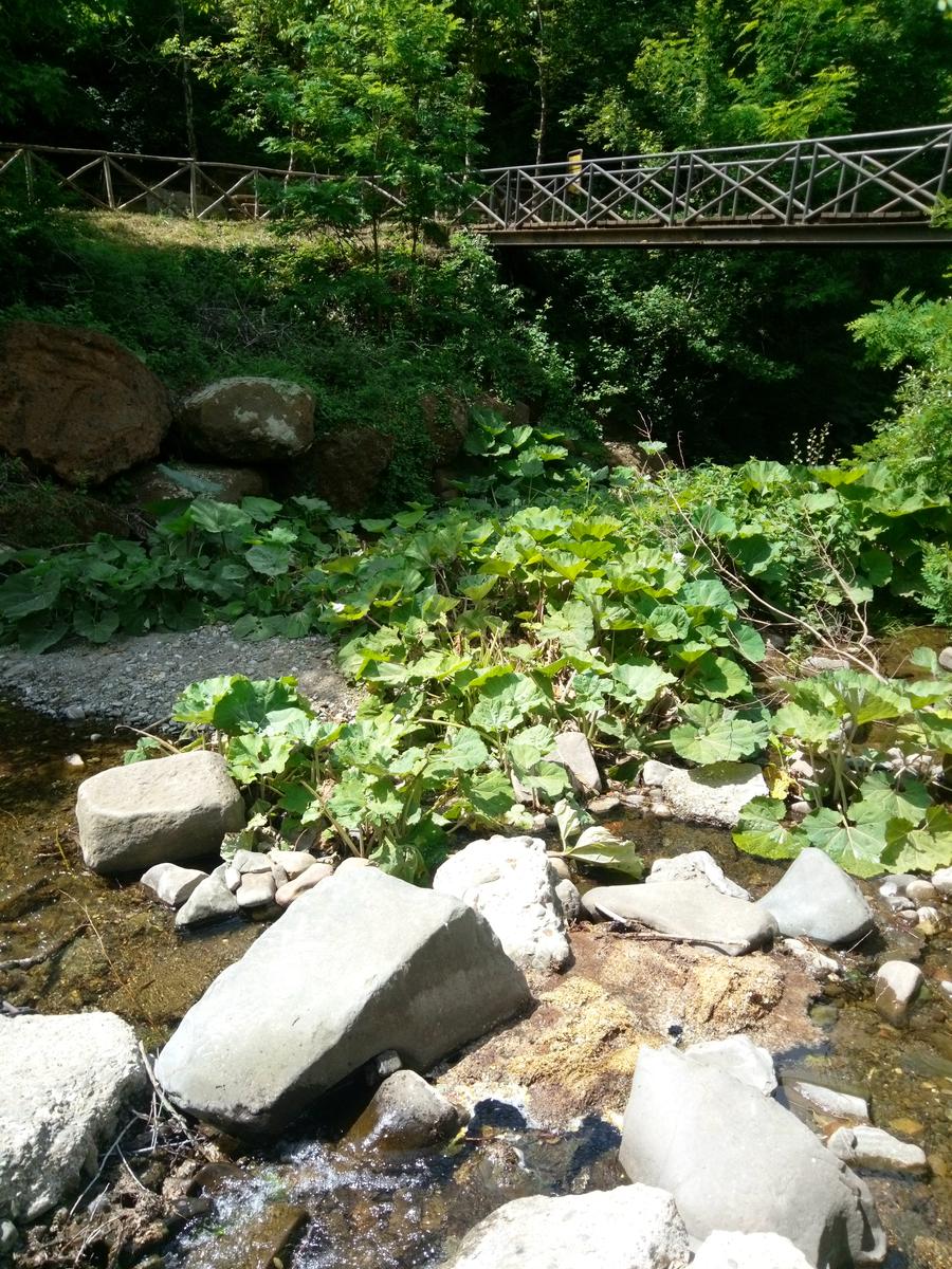 Sovana - Etrusche - Vie Cave - foto 14