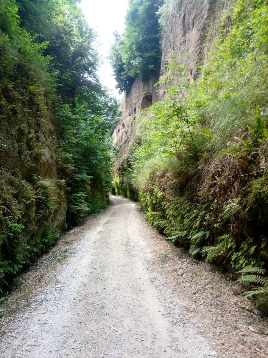 Sovana - Etrusche - Vie Cave - foto 20