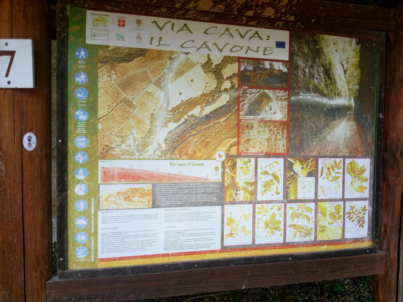 Sovana - Etrusche - Vie Cave - foto 22