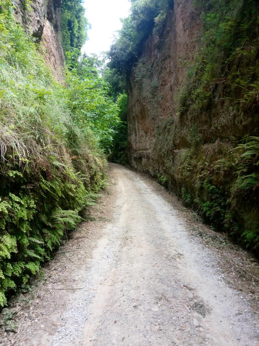 Sovana - Etrusche - Vie Cave - foto 23