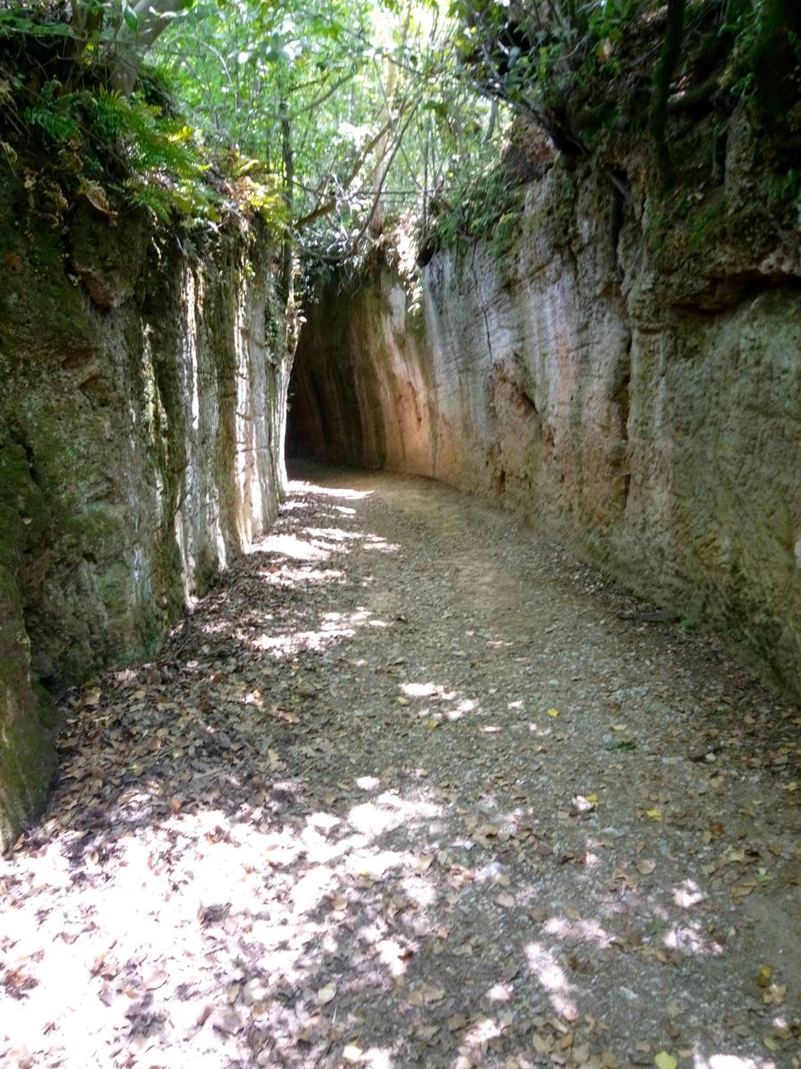 Sovana - Etrusche - Vie Cave - foto 24